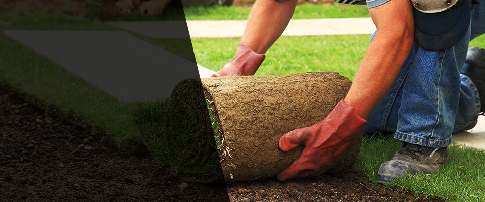 Lincoln University Landscapers